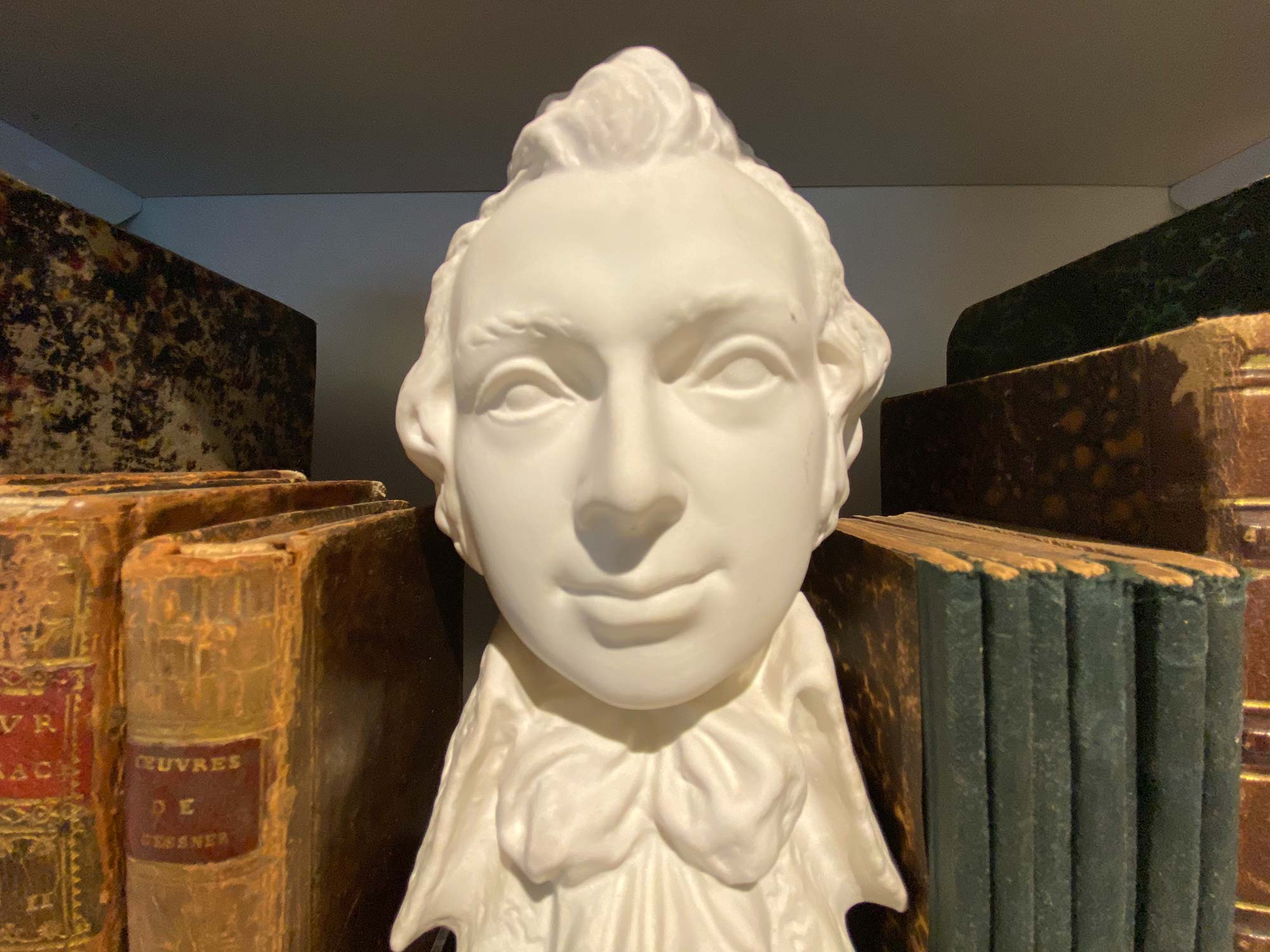 bueste-frankfurt-touristen-attraktion-besuchstipp-timeride Eine Büste in einem Buchregal - Touristen Attraktion Frankfurt: Timeride