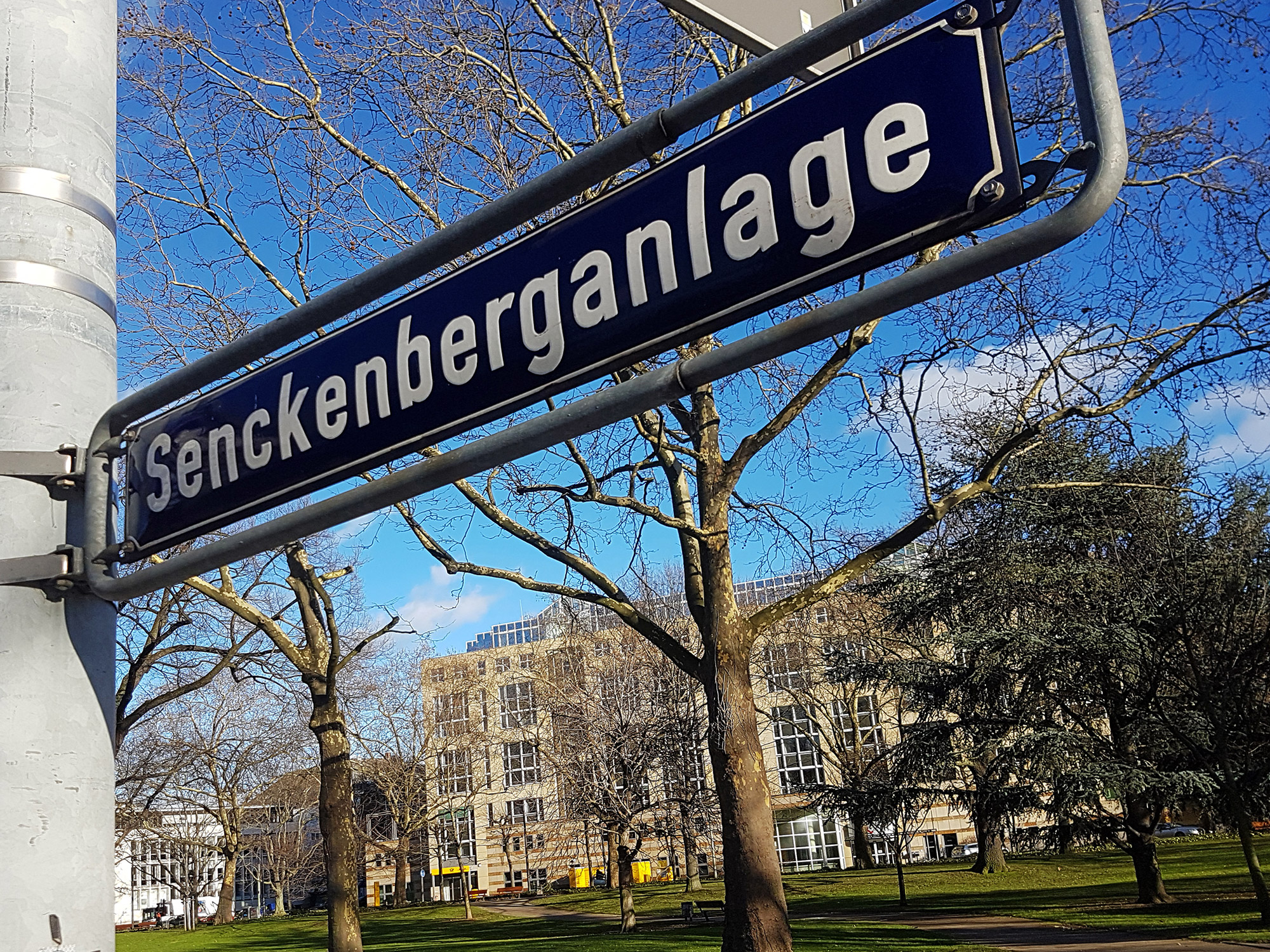 Senckenberganlage Frankfurt am Main