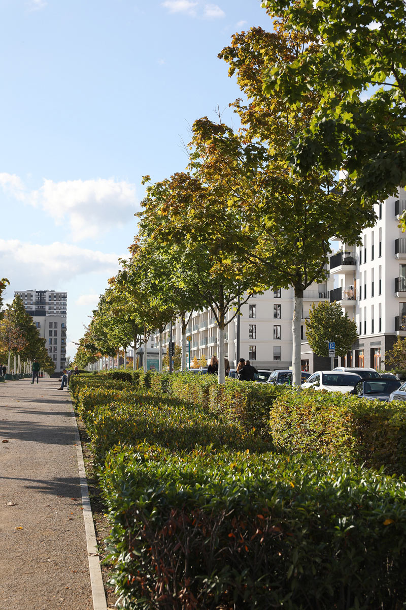 wohnen-im-gruenen-frankfurt-europaviertel Wohnen in grün - Frankfurt Europaviertel