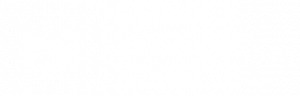 Mitglied der Frankfurter Immobilienbörse bei der IHK Frankfurt am Main
