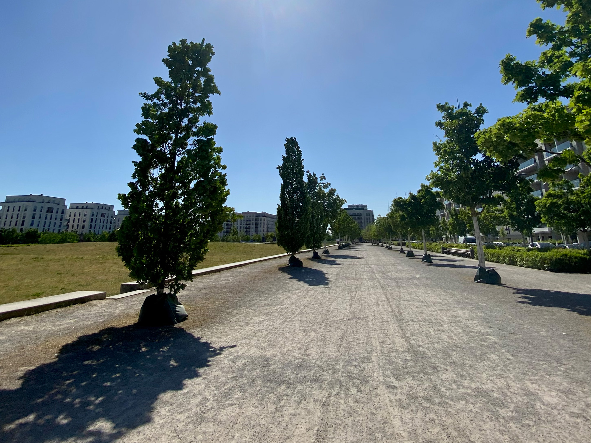 Europagarten - Europaviertel - Grünflächen - Frankfurt - Park