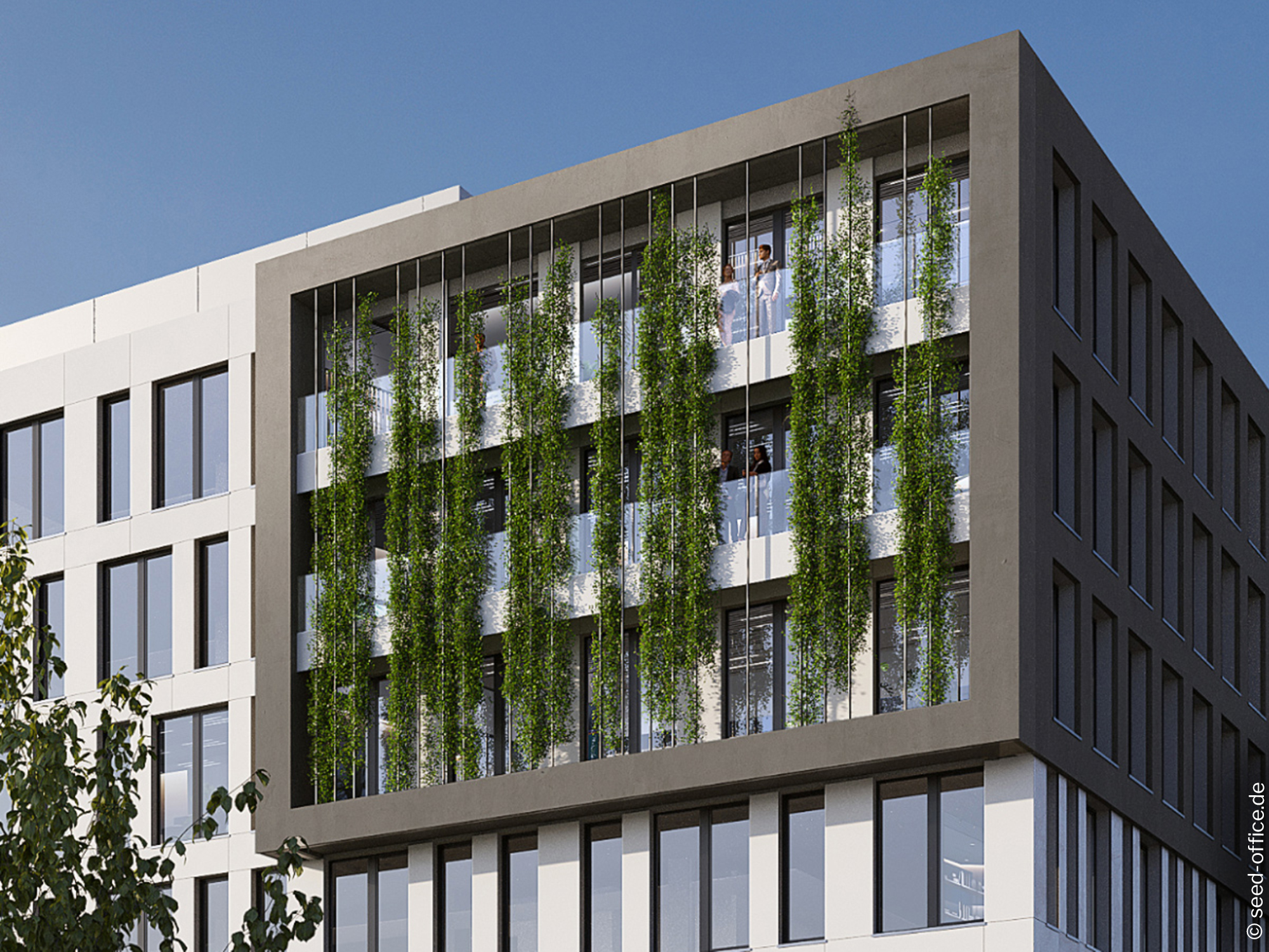 Seed-Fassadenbegrünung-Frankfurt SEED - Fassadenbegrünung - Frankfurt