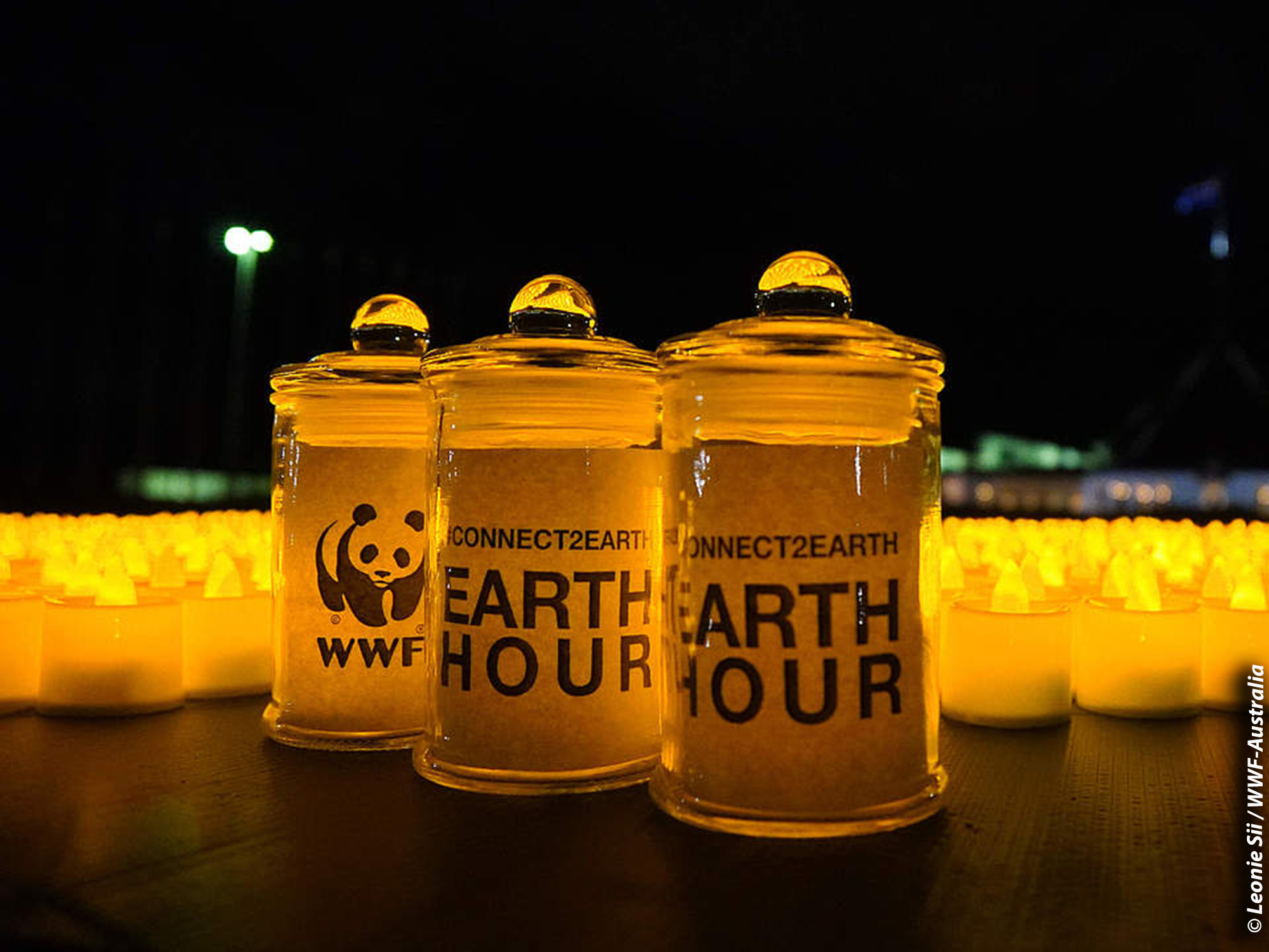 Earth Hour 2024