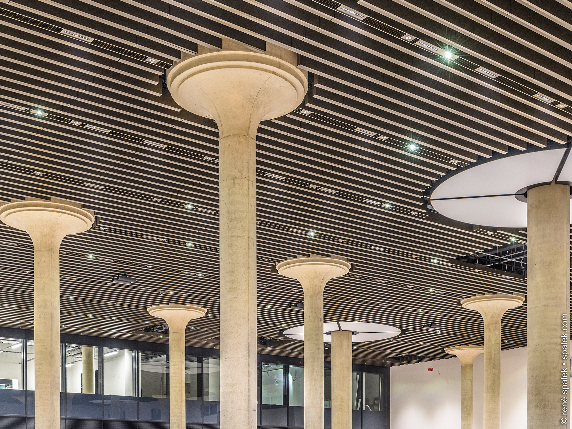 Fughafen - Terminal - 3