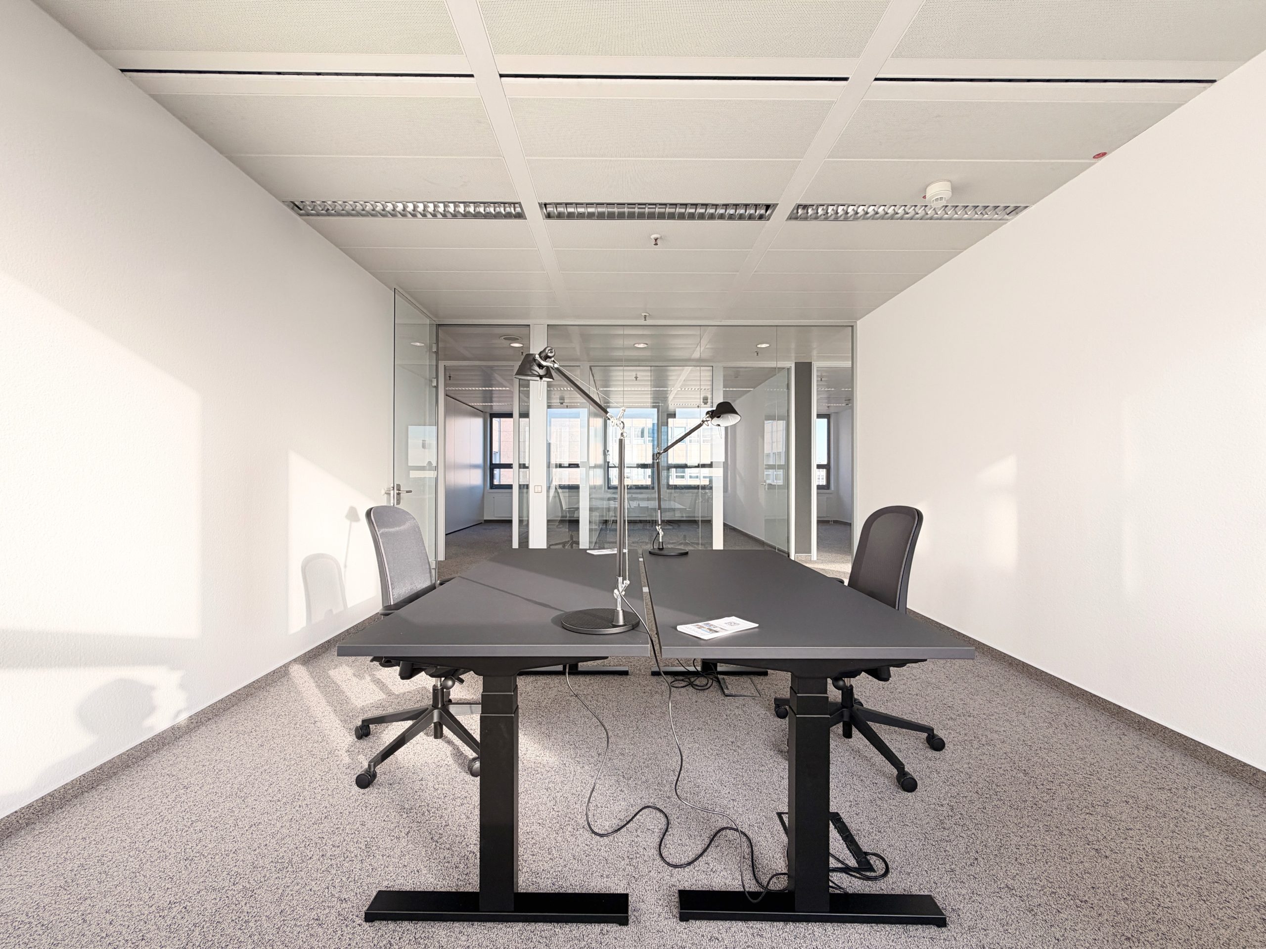 SREA - ATRICOM - Frankfurt - Lyoner Strasse 15 - Musterbüro-10