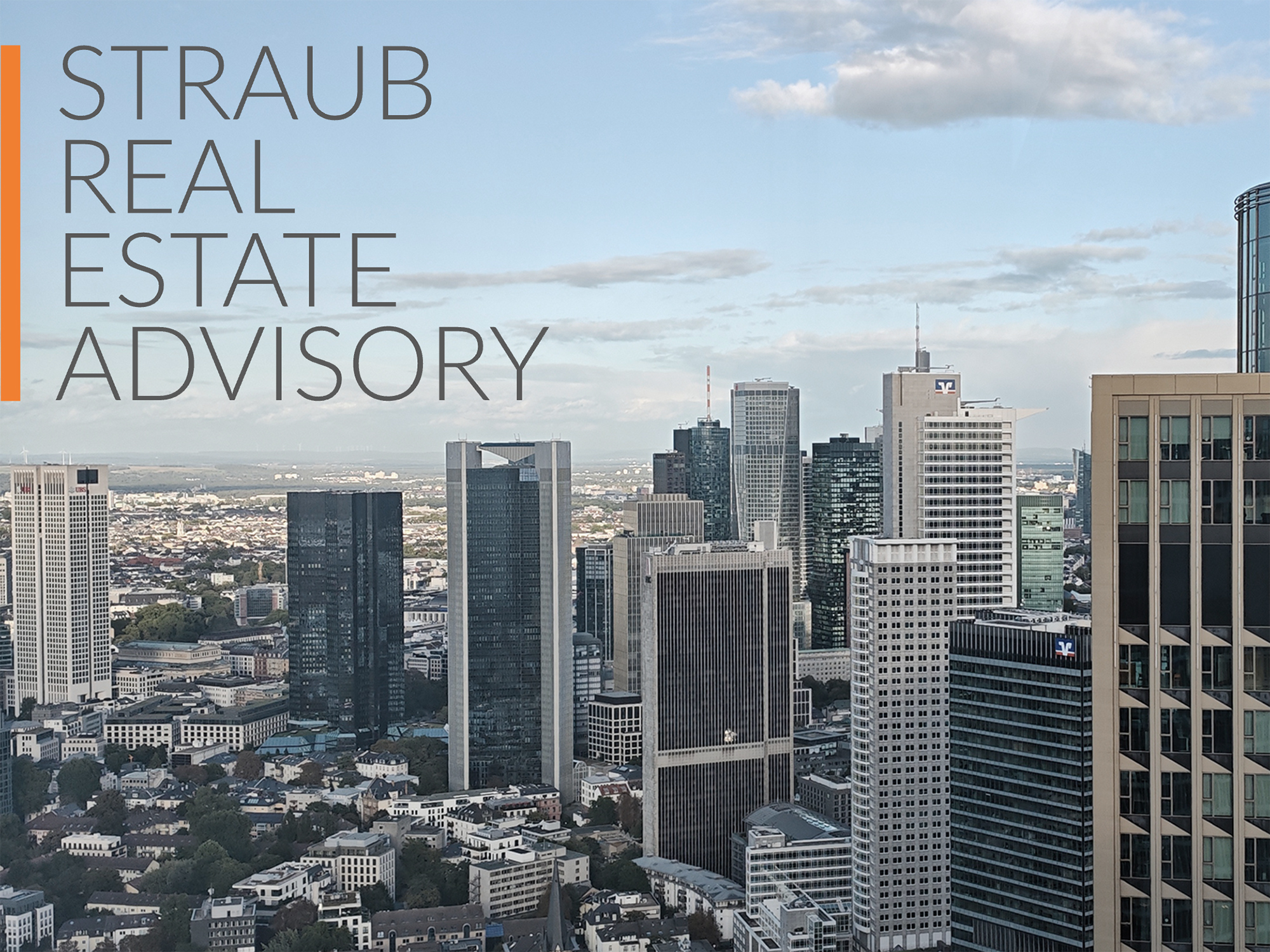 Straub - Real - Estate - Advisory - Skyline