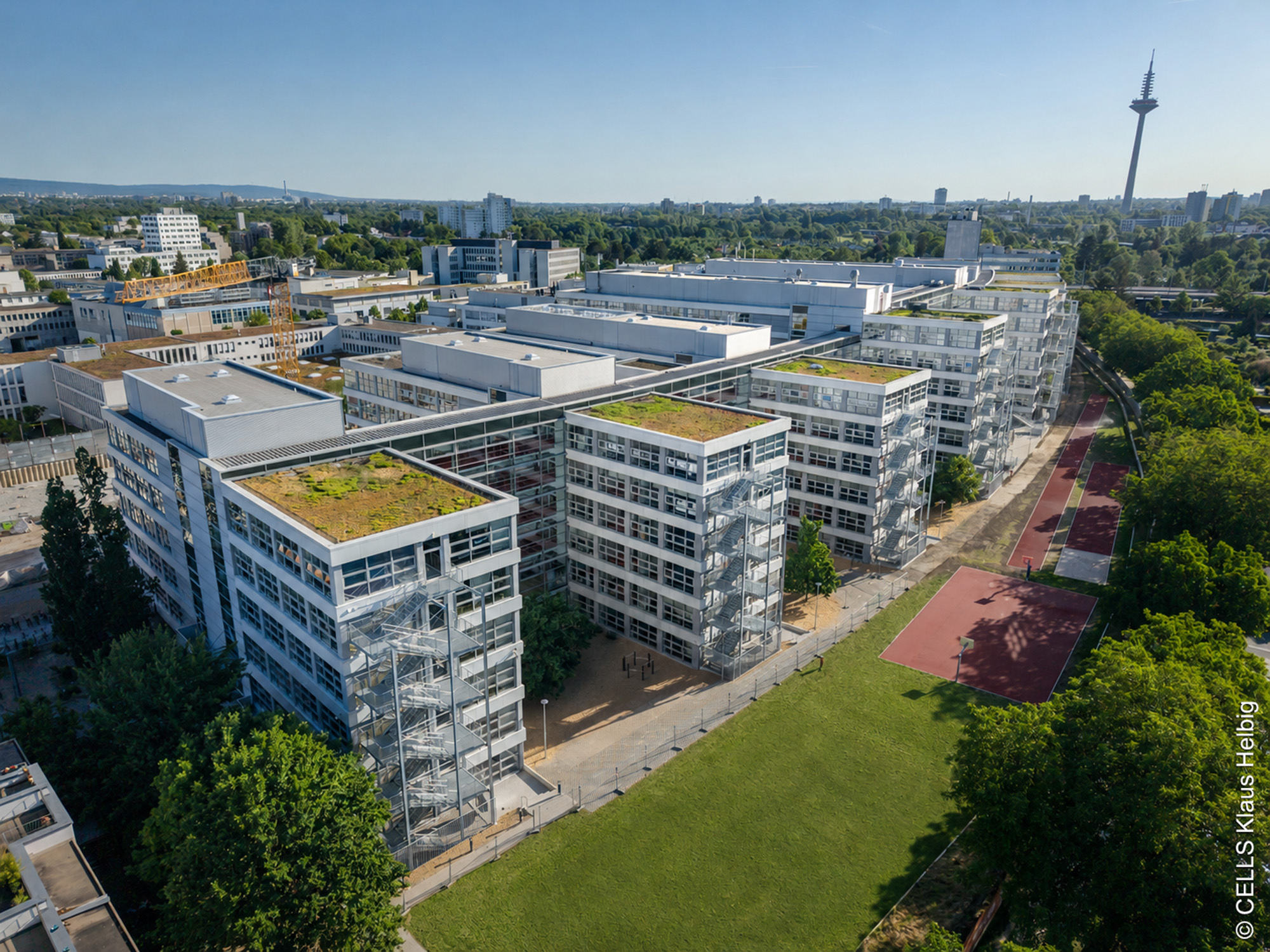 Frankfurt-Lateral-Towers-Bockenheim-Schule Frankfurt - Lateral - Towers - Bockenheim - Schule